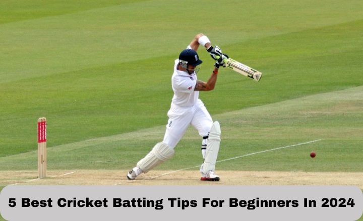 5 Best Cricket Batting Tips For Beginners In 2024