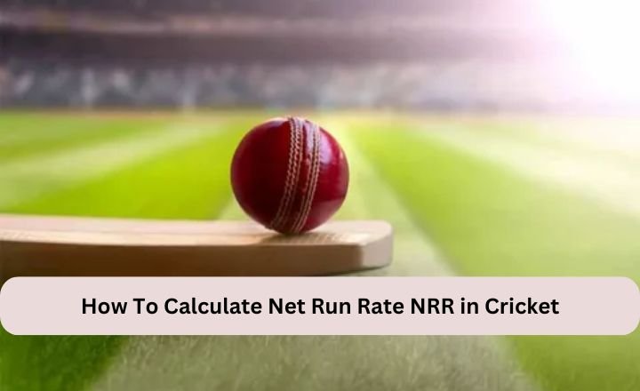 How To Calculate Net Run Rate NRR in Cricket