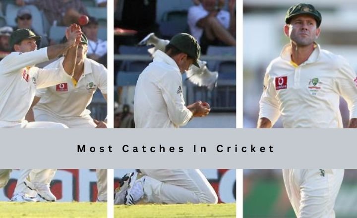 Most Catches in Cricket